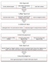 Program Proposal Template