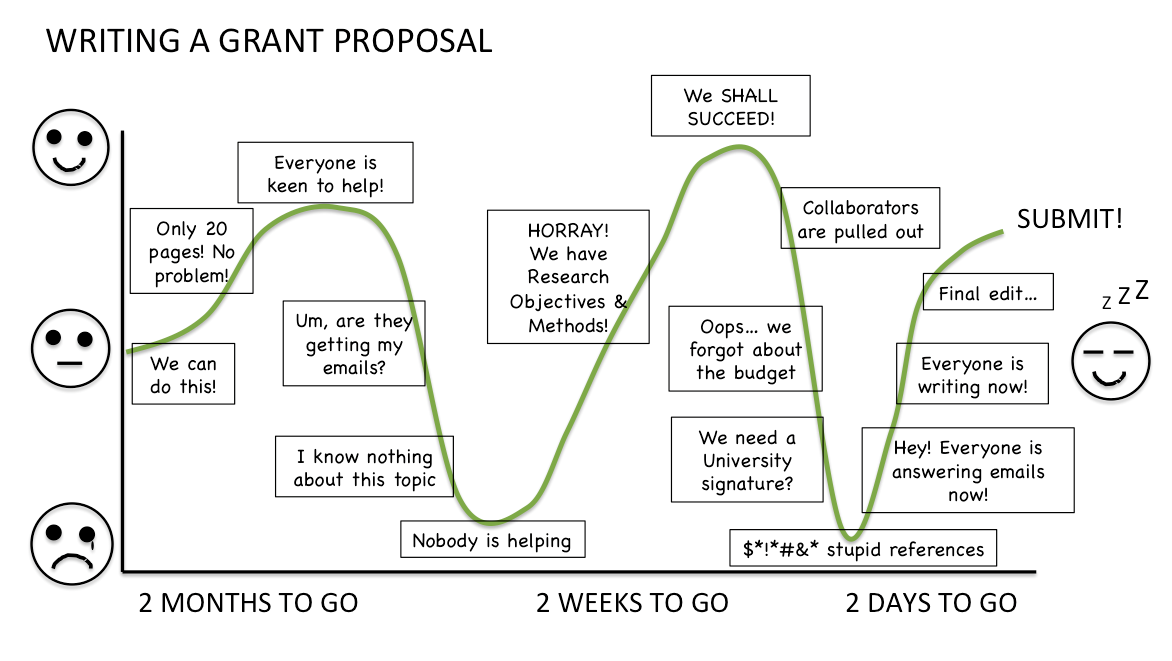 The Emotional Roller Coaster Of Grant Writing Expiscor Lilsoerv