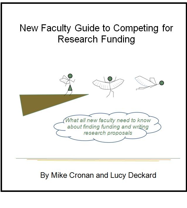 Academic Research Funding Strategies New Faculty Guide To Ummwpk